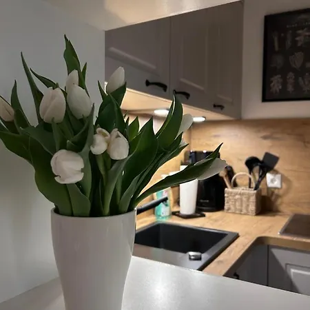 公寓 4 Wunderschoene Im Kavaliershaus 什未林