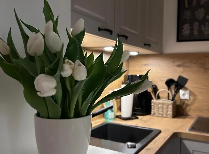 Lejlighed 4 Wunderschoene Im Kavaliershaus Schwerin (Mecklenburg-Vorpommern)